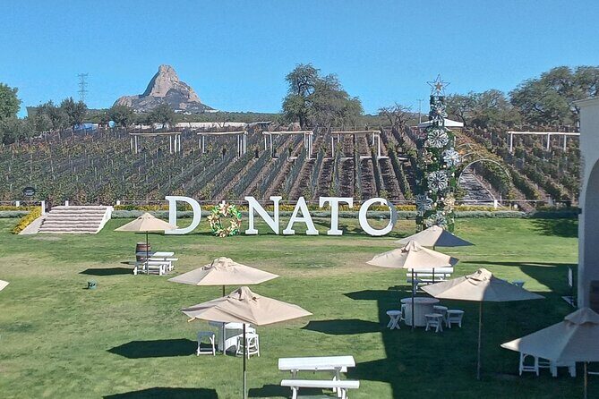 Queretaro Wine Experience - Analyzing the Value