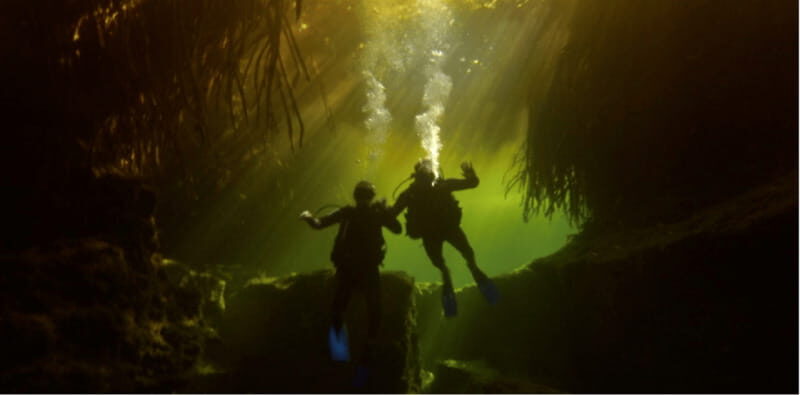 Quintana Roo: Cenote Dive - Why This Tour Offers Good Value