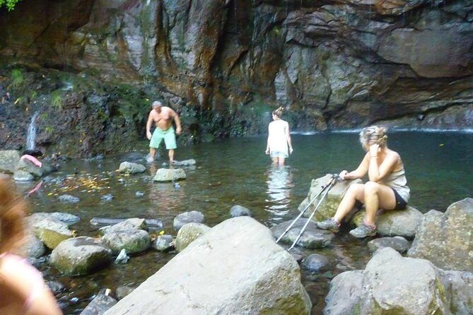 Rabaçal / 25 Fonts - Transportation & Logistics