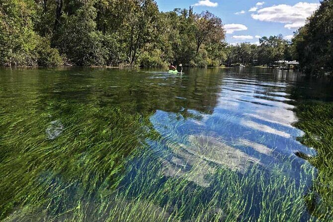 Rainbow River: 8AM & 3PM Snorkel or Scenic Wildlife Cruise - The Sum Up
