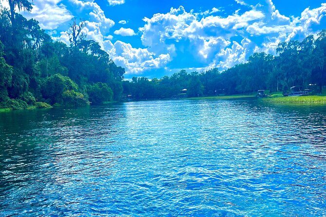 Rainbow Springs Clear Kayak and Paddleboard Rentals - The Sum Up