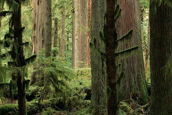 Rattray Marsh Nature Escape - Why the Guide Matters