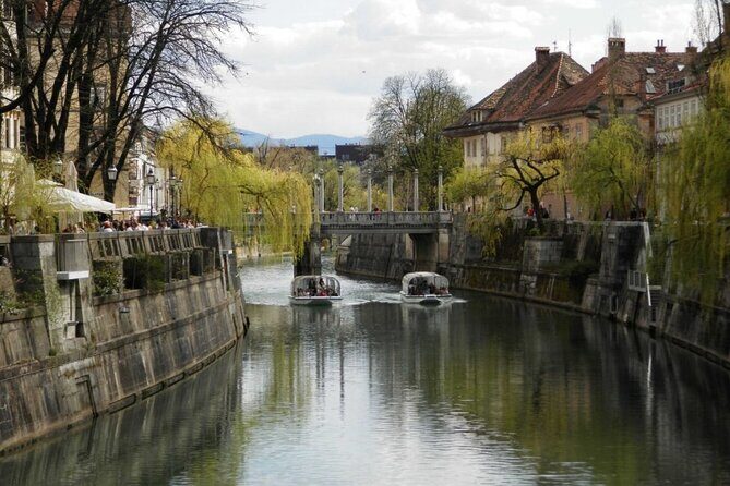 Regular Panoramic Cruise - Authenticity and Value