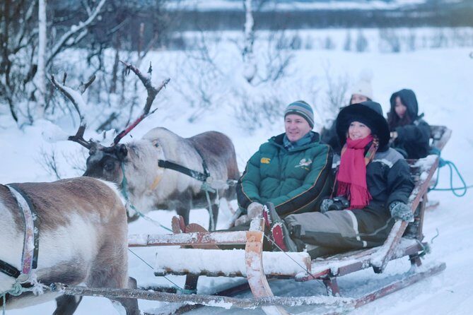 Reindeer Sledding and Feeding with Sami Culture in Tromso. - How the Itinerary Unfolds