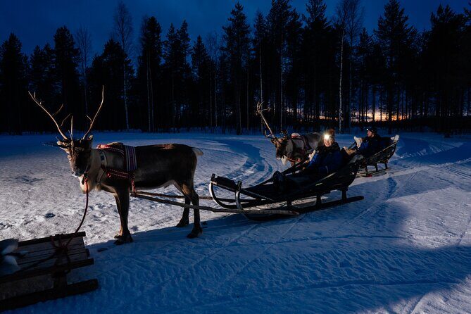 Reindeer sleigh ride across the night in Apukka Resort Rovaniemi - Practical Details and Considerations