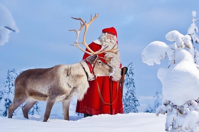 Reindeer Sleigh Ride and Farm Experience from Rovaniemi - What Do Travelers Say?