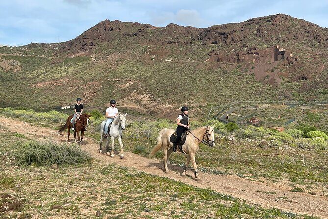 Relaxing Horse Riding Tour in Gran Canaria - The Experience and Reviews