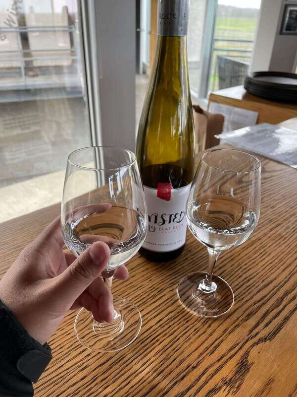 Relaxing Lunch & Wine Tour through Niagara's Wine Country - An In-Depth Look at the Itinerary