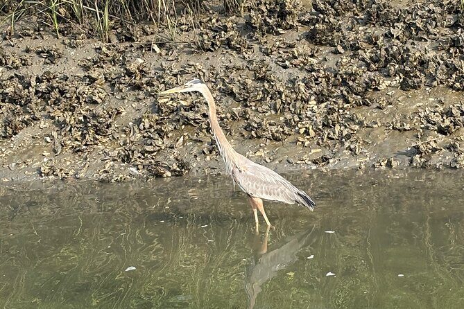 Rent Kayaks in Hilton Head Island - Meeting Point and Practical Details