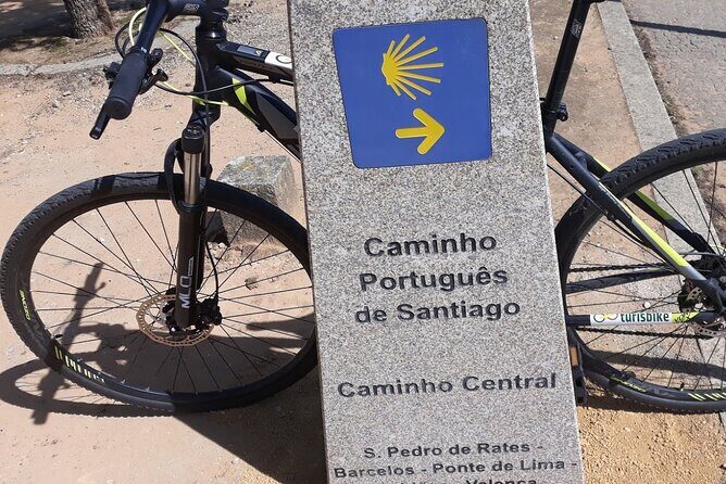 Rent mountain bike for bike path old railway to Famalicão - Practical Details for Your Bike Adventure