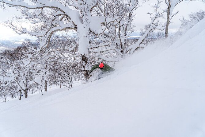 Revelstoke Mountain Photography Tours - The Mountain and Its Photogenic Spots