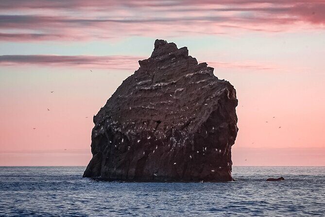 Reykjanes Peninsula Private tour Iceland - Practical Considerations