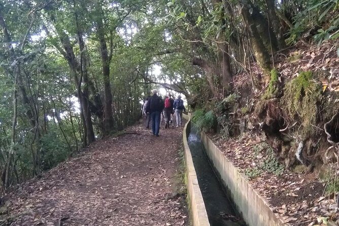 Ribeiro Frio - Portela - Final Thoughts