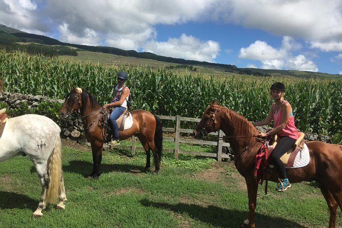 ride a volcano - go to the gardens in the woods - The Sum Up