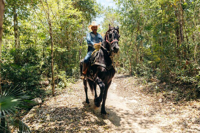 Rider Tour, Horseback Riding, ATV and Cenote - Final Thoughts