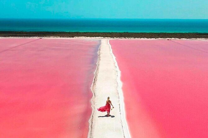 Rio Lagartos and Las Coloradas Day Tour from Cancun - What Travelers Should Know