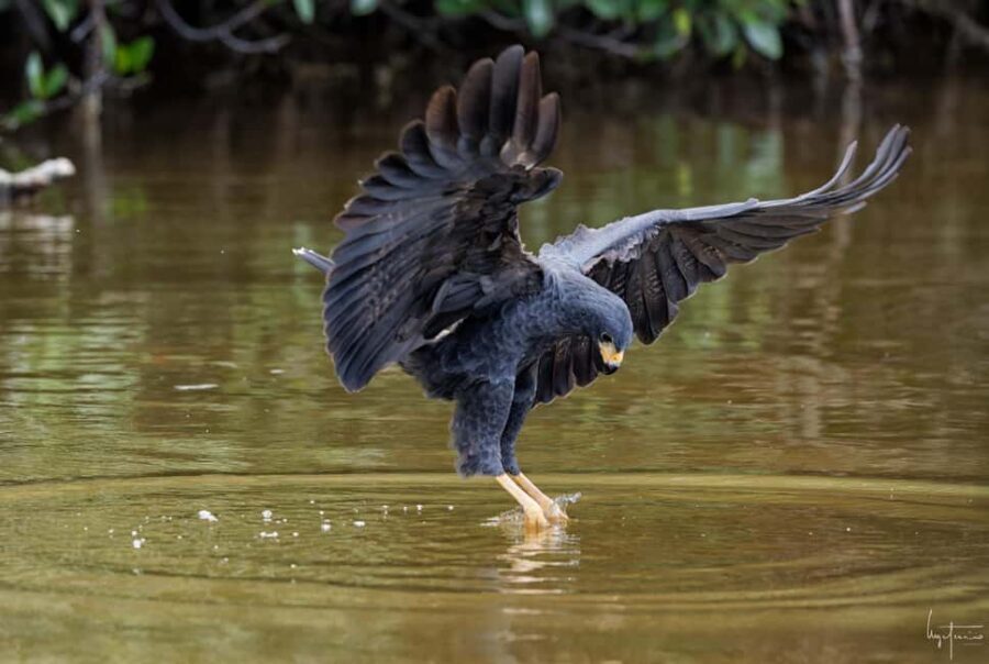 Rio Lagartos and Las Coloradas: EcoSafari Flamingo Luxury - The Logistics and Practicalities