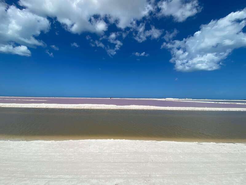 Río Lagartos and Las Coloradas: Natural Experience - What You’ll Experience on This Tour
