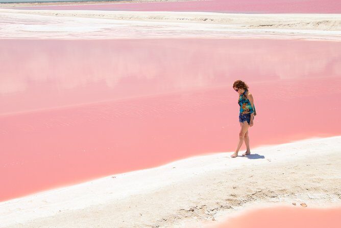 Rio Lagartos Biosphere + Coloradas Gorgeous Pink Lake! Transportation from Tulum - Practical Tips for Travelers