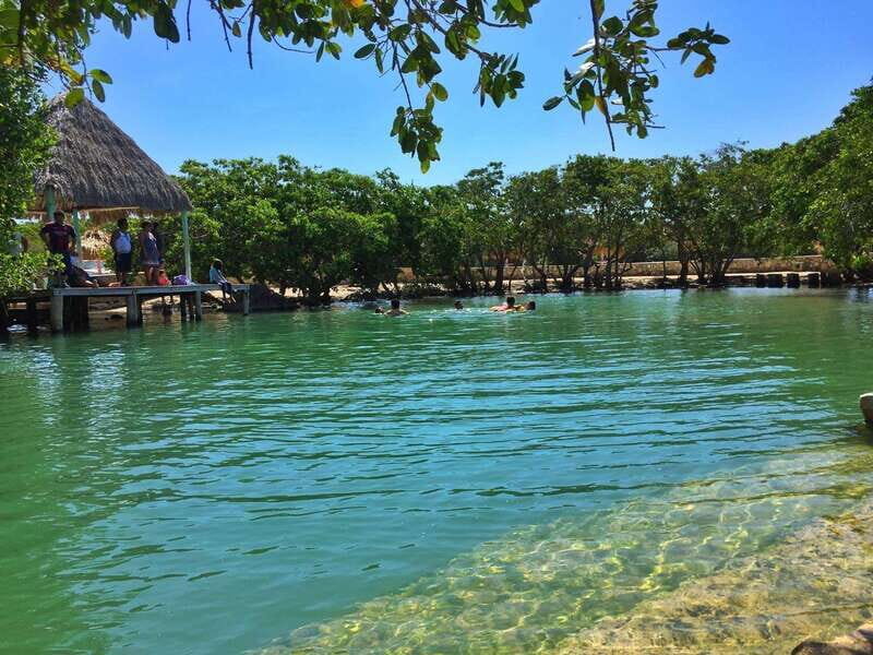 Rio Lagartos Expedition: boat journey through the mangrove - What Travelers Say