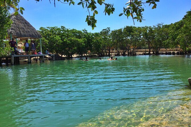 Rio Lizards and Las Coloradas Ecosafari Maya Natural Experience - The Itinerary: A Deep Dive