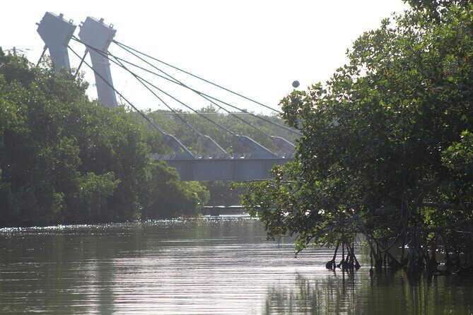 River Lizards Boat Tour for Flora and Fauna Observation - The Experience in Detail: What Travelers Can Expect