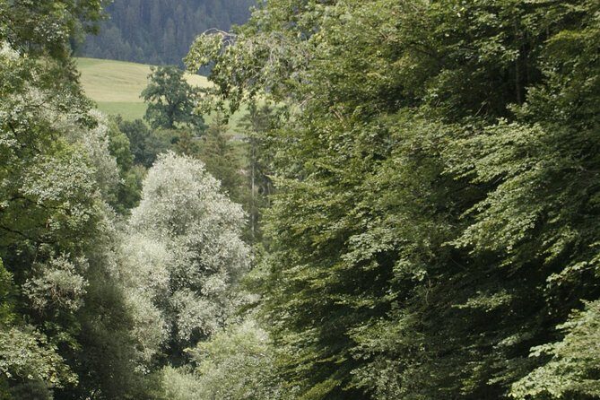 River Rafting Simme with OUTDOOR - Who Will Love This Tour?