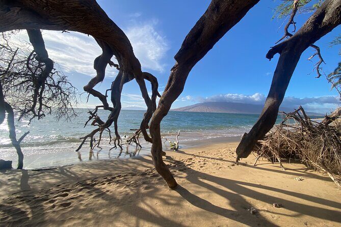 Road to Hana Maui Tours - Why This Tour Works for Travelers