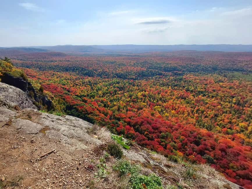 Robertson Cliffs: Where Falcons Fly Guided Hike - Is This Tour Worth the Price?