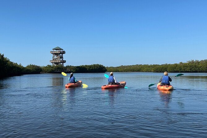 Robinson Preserve Mangrove Tour - Who Will Love This Tour?