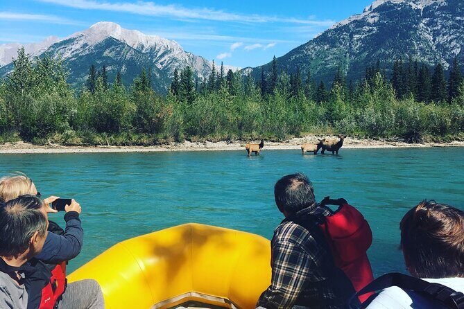 Rocky mountain - VIP Experience - Private Boat - Why This Tour Works for You