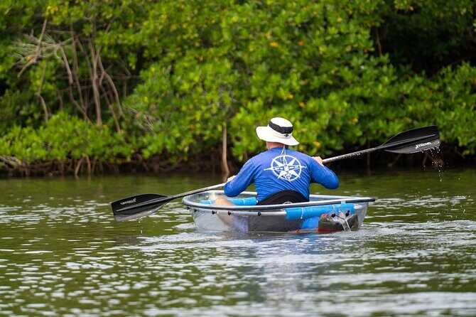 Round Island 2-Hour Glass Bottom Guided Kayak Eco Tour - Who Will Love This Tour?