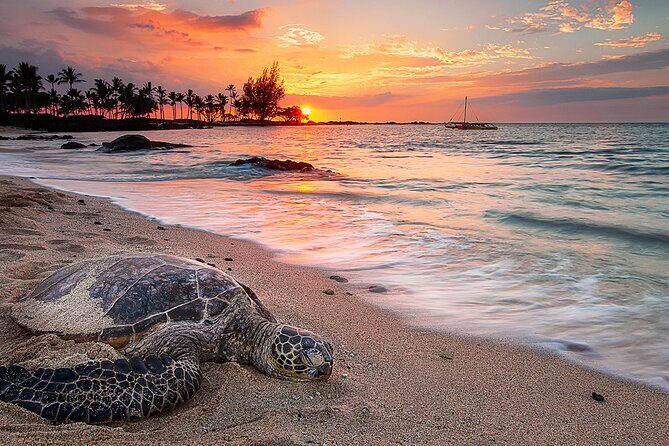 Round Trip Private Transfer Honolulu Airport HNL to Honolulu City - The Booking & Arrival Process