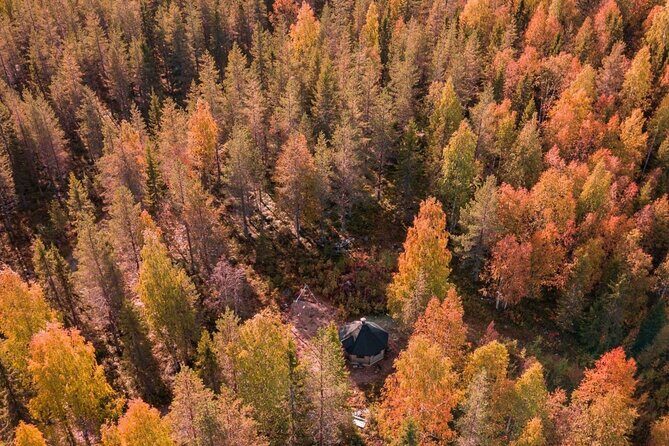 Rovaniemi Autumn Husky Safari & BBQ  610 km SelfDrive - Analyzing the Price and Value