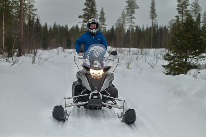 Rovaniemi Snowmobile Adventure & BBQ - 1Hour Drive, Small Group - Exploring the Itinerary in Detail