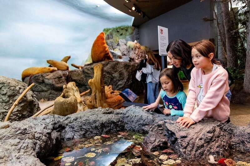 Royal B.C. Museum in Victoria: Full-Day Admission Ticket - Visitor Experience and Reviews