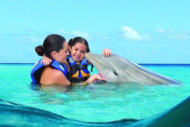 Royal Garragon with Dolphin Encounter in Isla Mujeres - Authentic Experiences and Potential Drawbacks