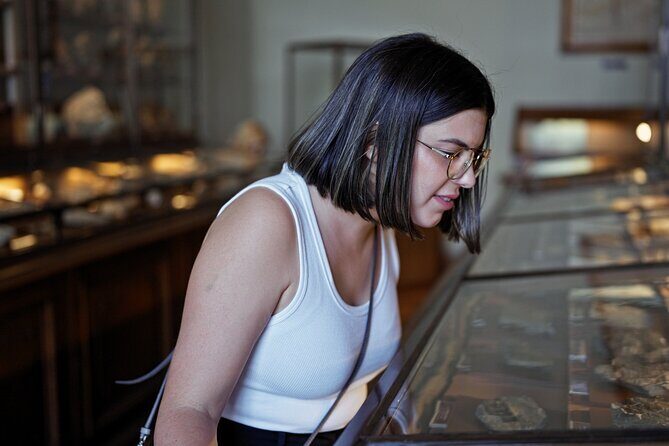 Royal Ontario Museum Toronto Tour with Skip-the-Line Tickets - The Itinerary Breakdown: What to Expect