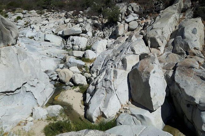 Rural And Hiking Expedition In Sierra La Laguna - Final Thoughts