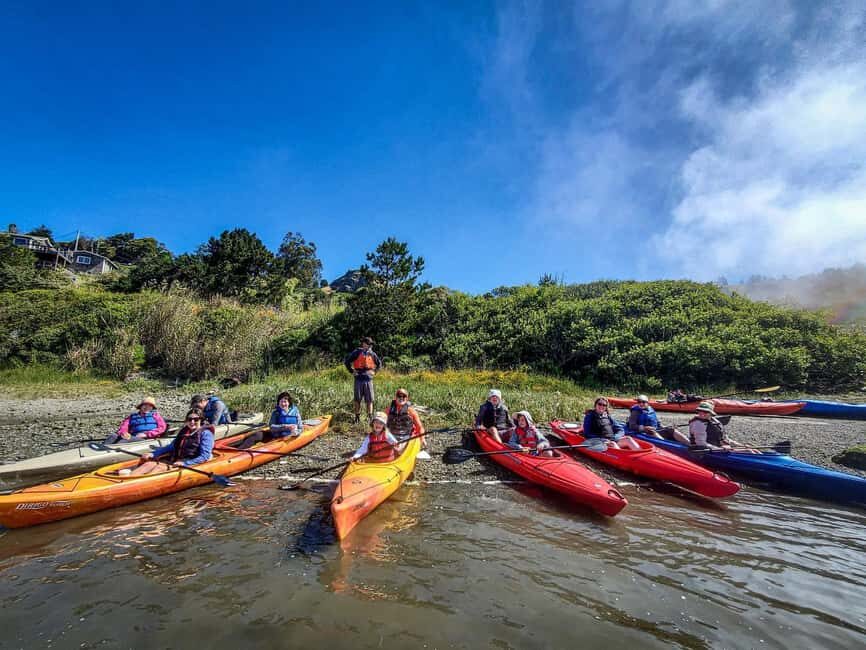 Russian River: Kayak Tour - What the Tour Experience Looks Like