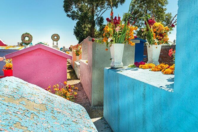 Sacred Souls: Dia de los Muertos Cultural Tour - Value and Overall Impression
