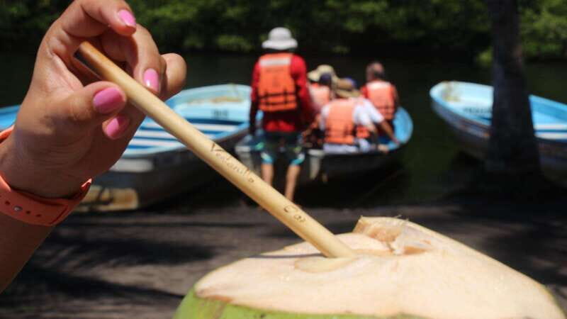 SAFARI THROUGH THE MANGROVES IN VENTANILLA OAXACA - The Itinerary in Detail