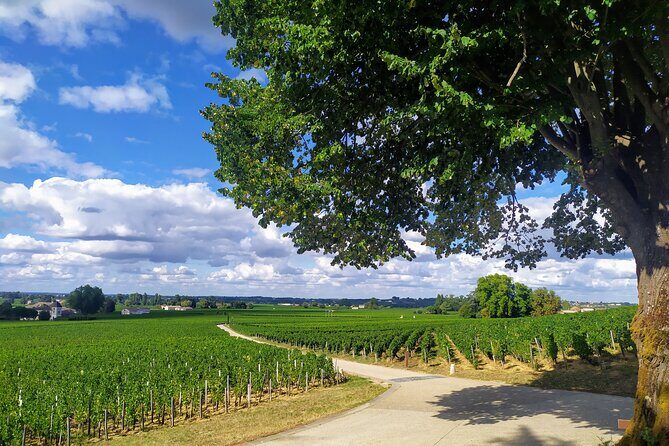 Saint-Emilion Private tour - Grand Cru Classé with an expert - Authentic Experiences and What Travelers Say