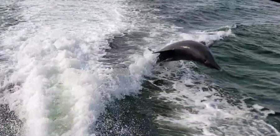 Saint Petersburg: Private Sunset Intracoastal cruise - FAQs