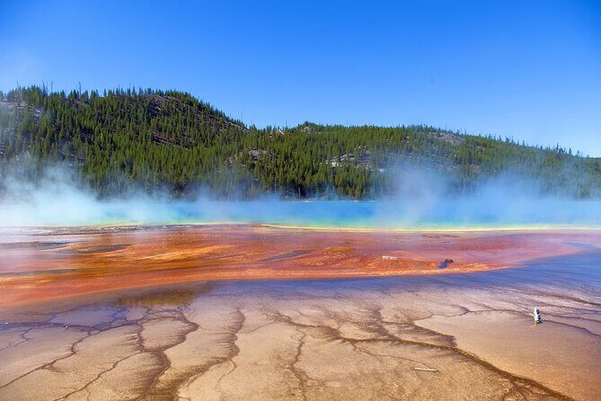Salt Lake City Departure Yellowstone Park 3-day Panoramic Tour - Value and Pricing: Is It Worth It?
