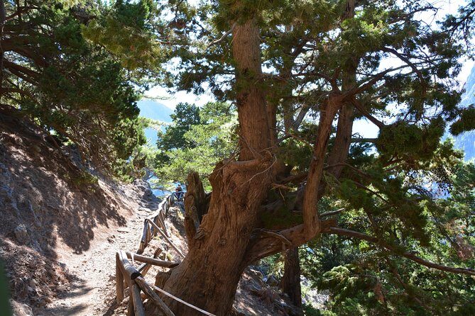 Samaria Gorge Hike - Who Should Consider This Tour?