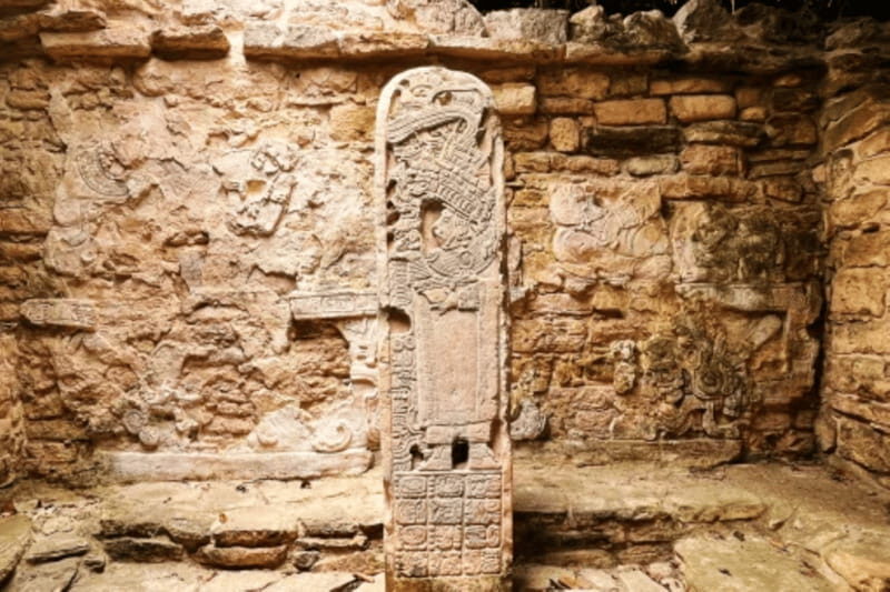 San Cristobal: 3 Days Expedition of North Lacandona Jungle - Practicalities and Value