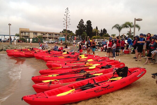 San Diego Bay 1.5-Hour Guided Kayak Tour in Coronado - Who Is This Tour Best For?