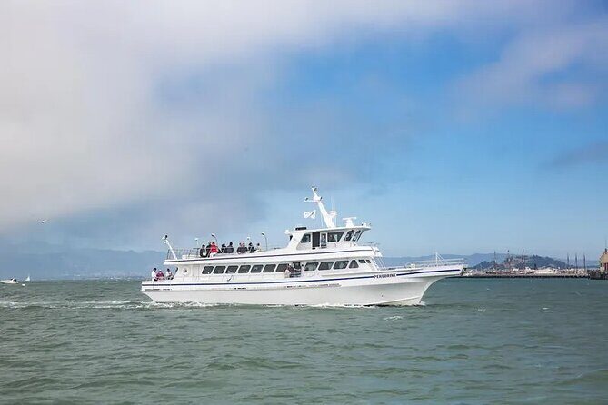 San Diego Whale/Dolphin Watching Cruise Aboard Luxury Vessel - Who Will Love This Tour?