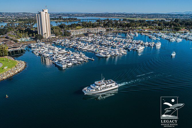 San Diego Whale Watching 3 Hour Tour Mission Bay on the Legacy - Who Should Consider This Tour?